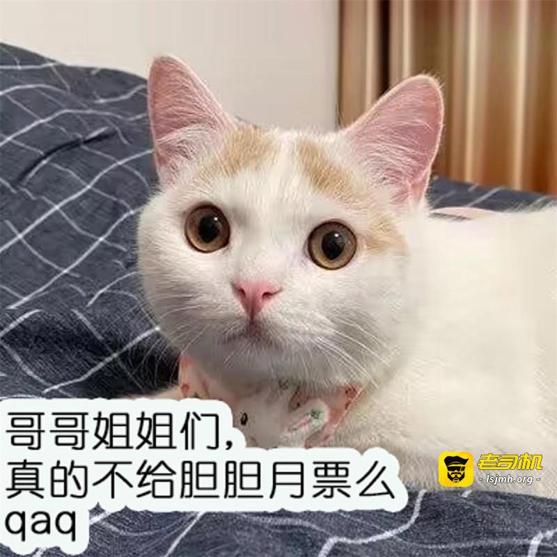 第39话 第36话她承认是我的雌性了？ 第 49 页