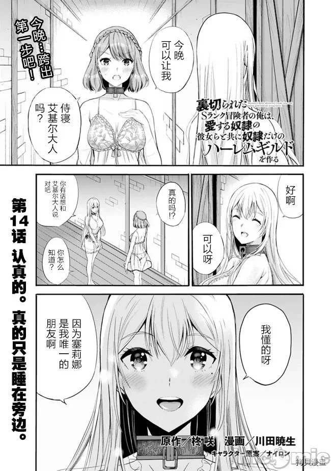 作为被背叛了的S级冒险者的我、决定成立一个只有我所爱的奴隶女孩子们的后宫公会 [柊咲/川田暁生/ナイロン] 里切られたSランク冒険者の俺は、爱する奴隷の彼女らと共に奴隷だけのハーレムギルドを作る 第8话 - 1