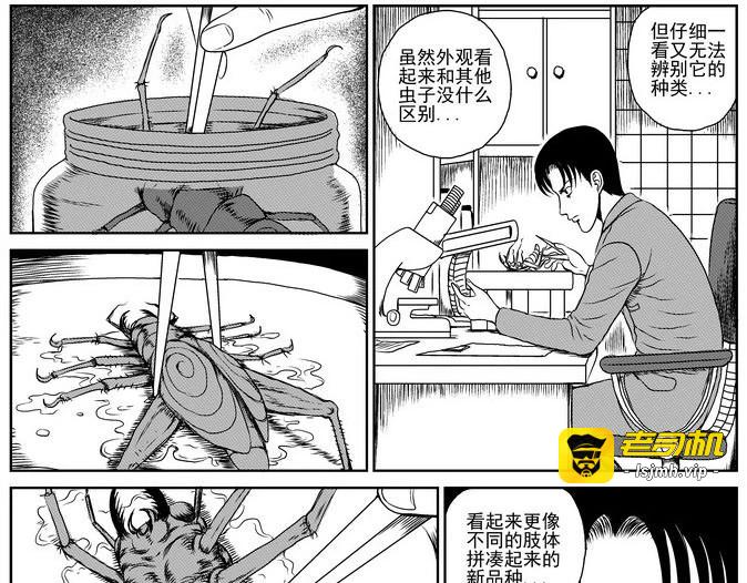 昆虫学家（上） 第 31 页