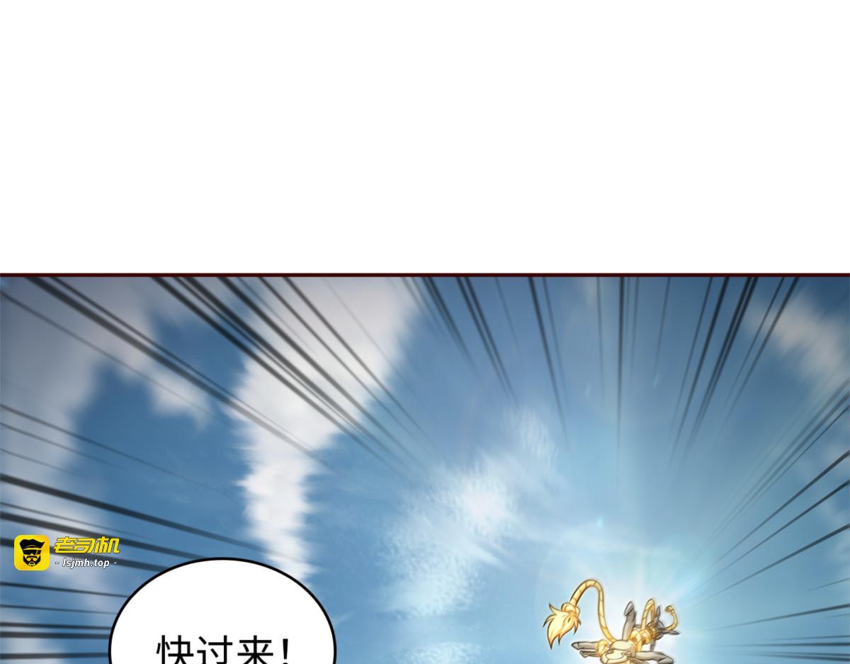 服从训练 第 21 页