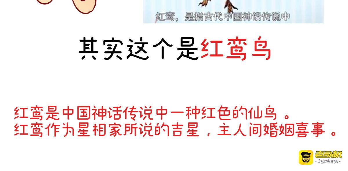 特别篇 主角团的诞生 第 23 页
