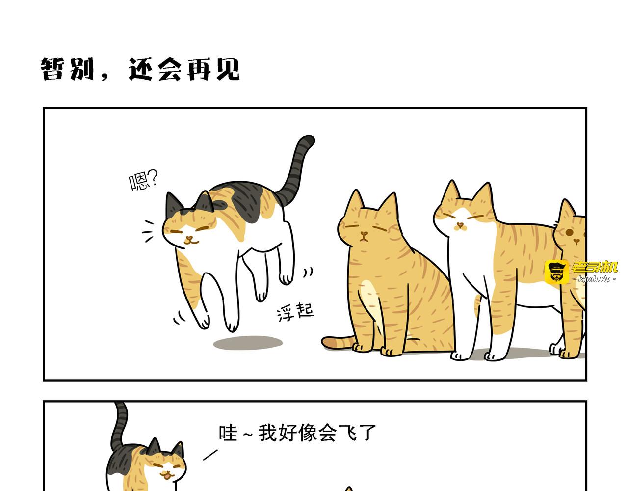 【141-144】话 第 13 页