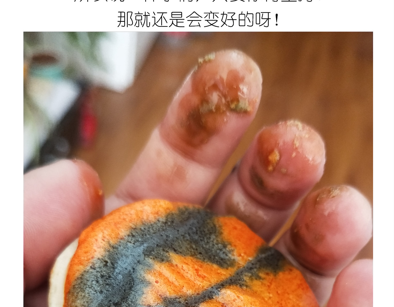 仙女万圣节饼干 第 34 页