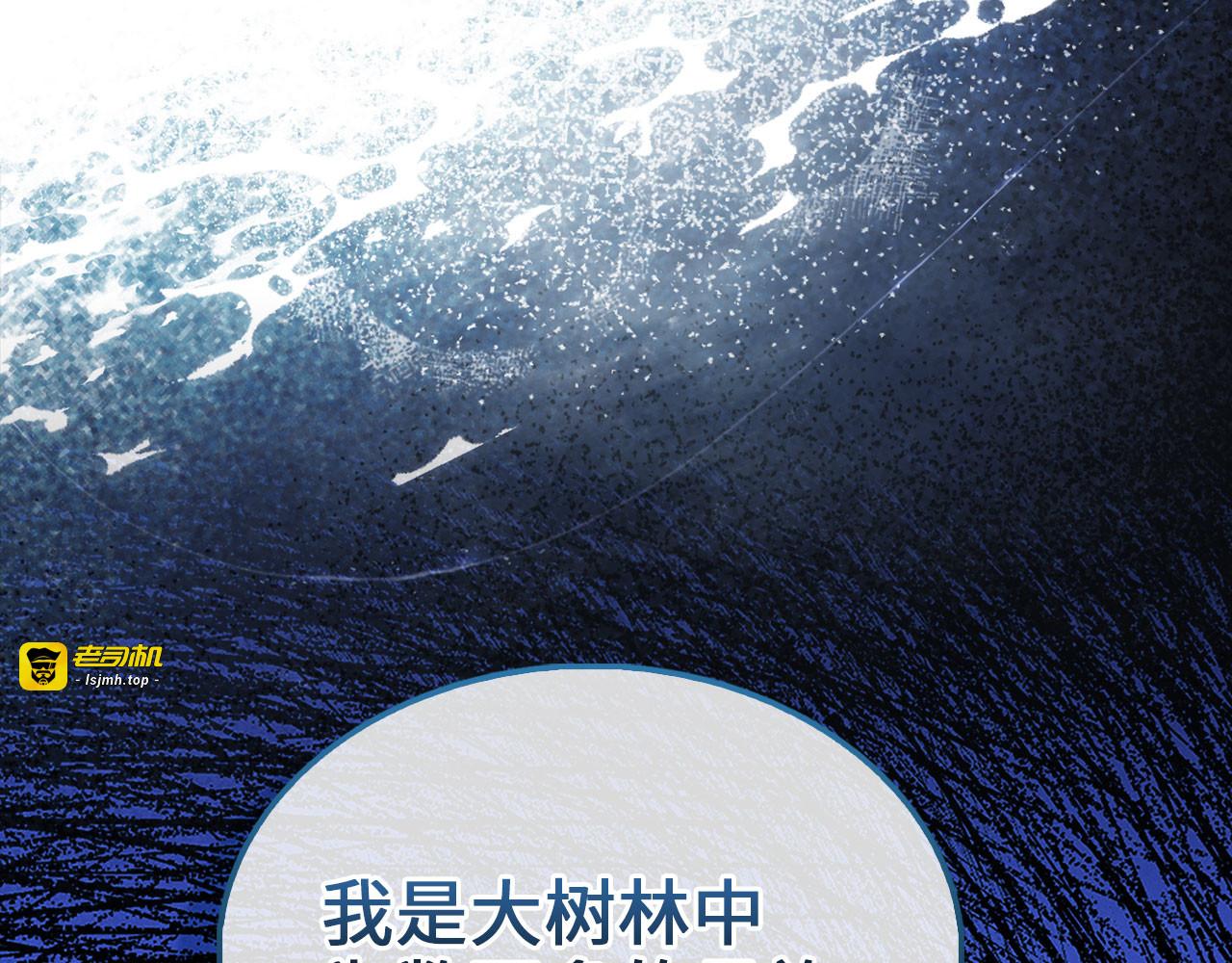 第123话 月之精灵师 第 213 页