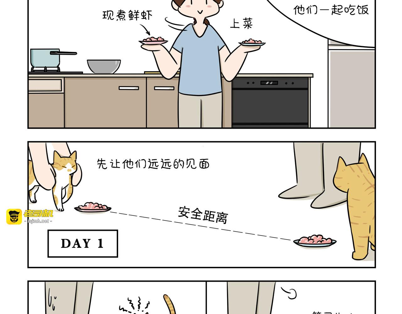 【37-39】话 第 11 页