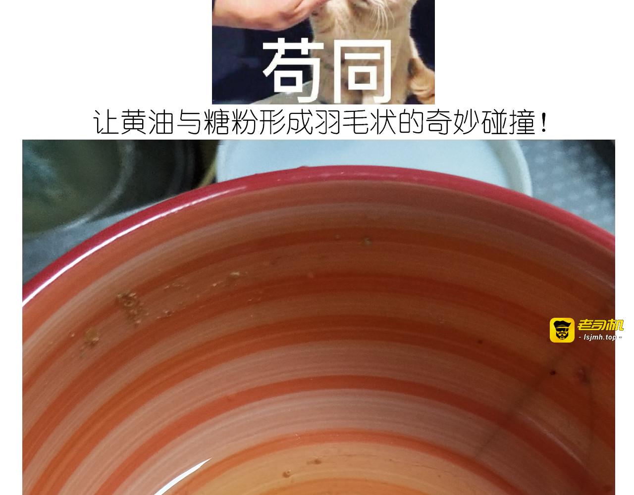 仙女的罗马盾饼干 第 9 页