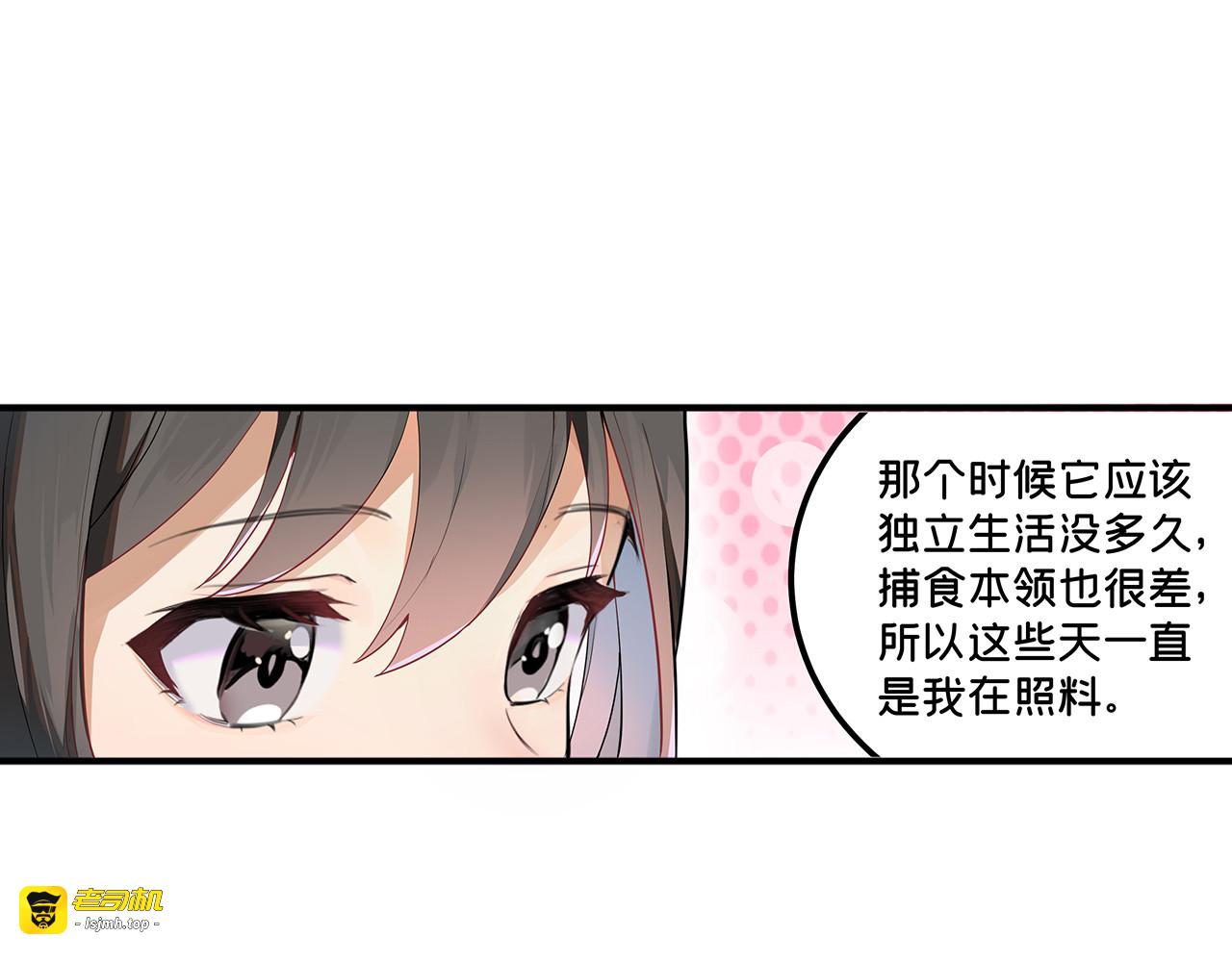 第19话 妙手回春杨老师 “叽叽叽啾，啾叽！”下 第 51 页