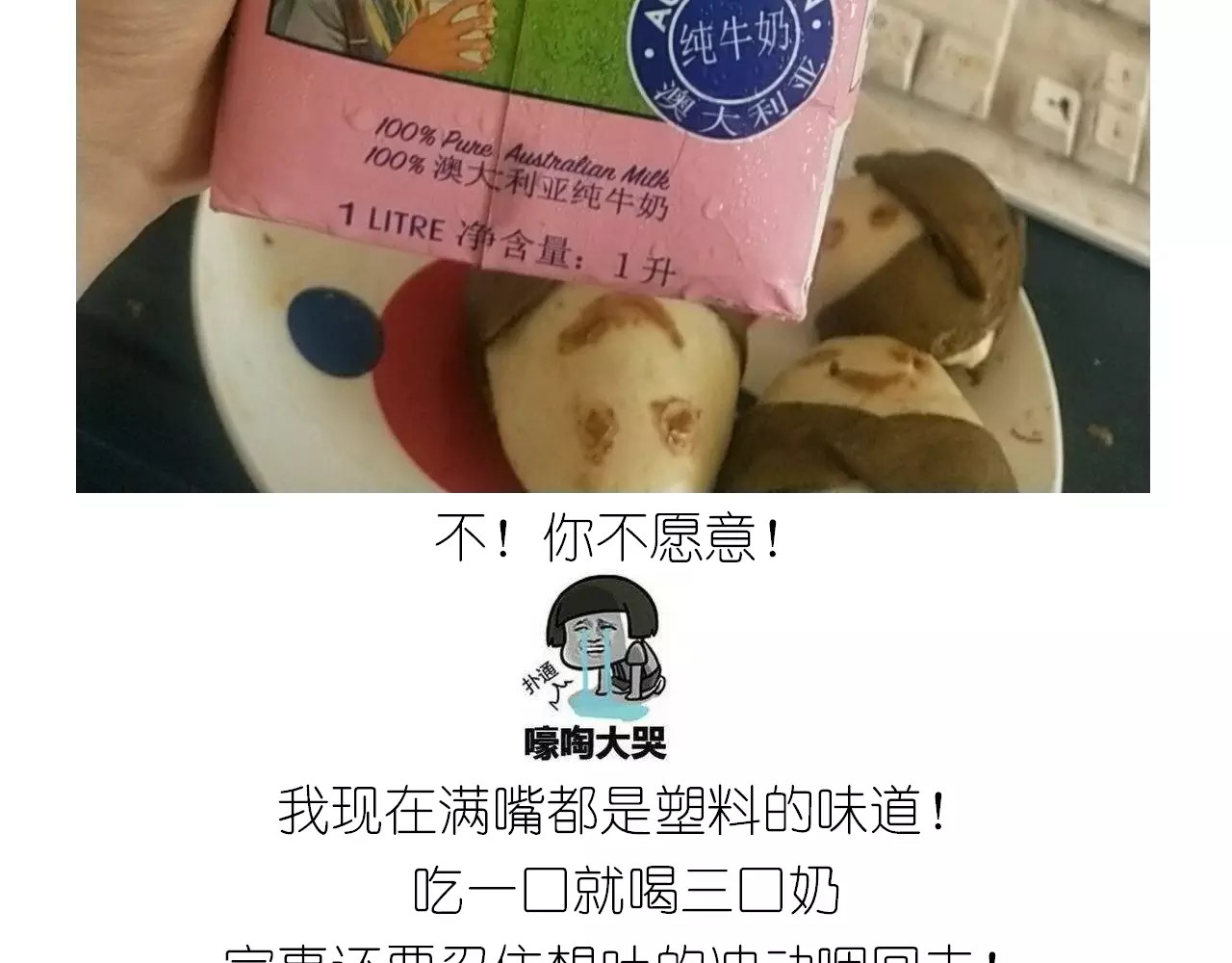 粽子君 第 40 页