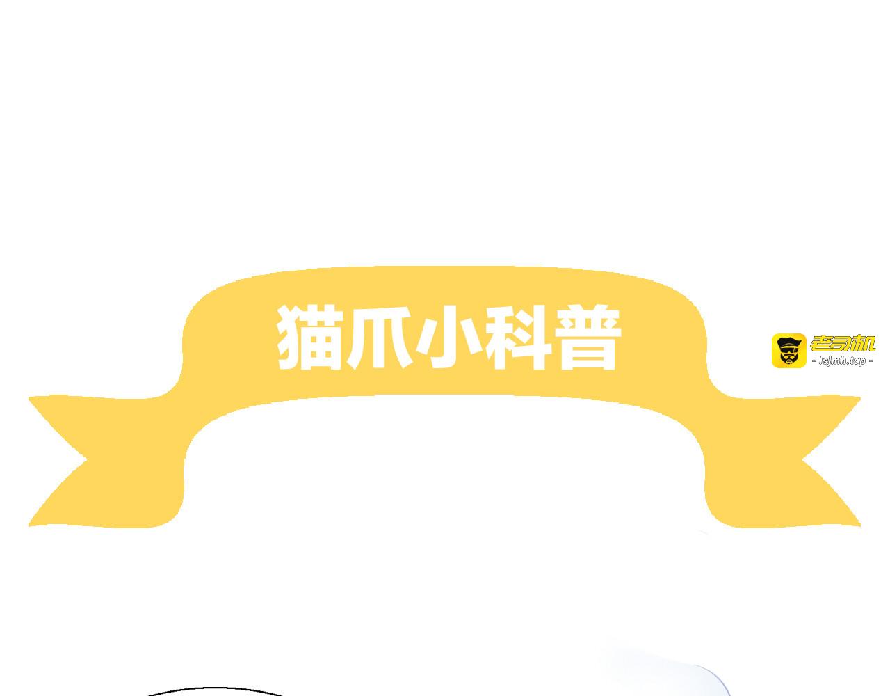 第51话 人猫大互换？ 第 117 页