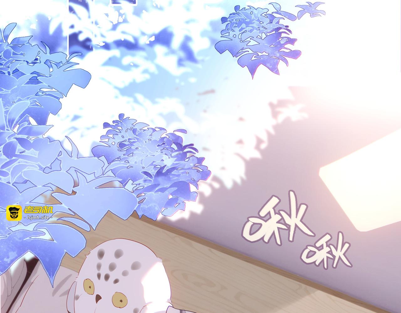 漫画家，鹦鹉，日常纪录。 第 3 页