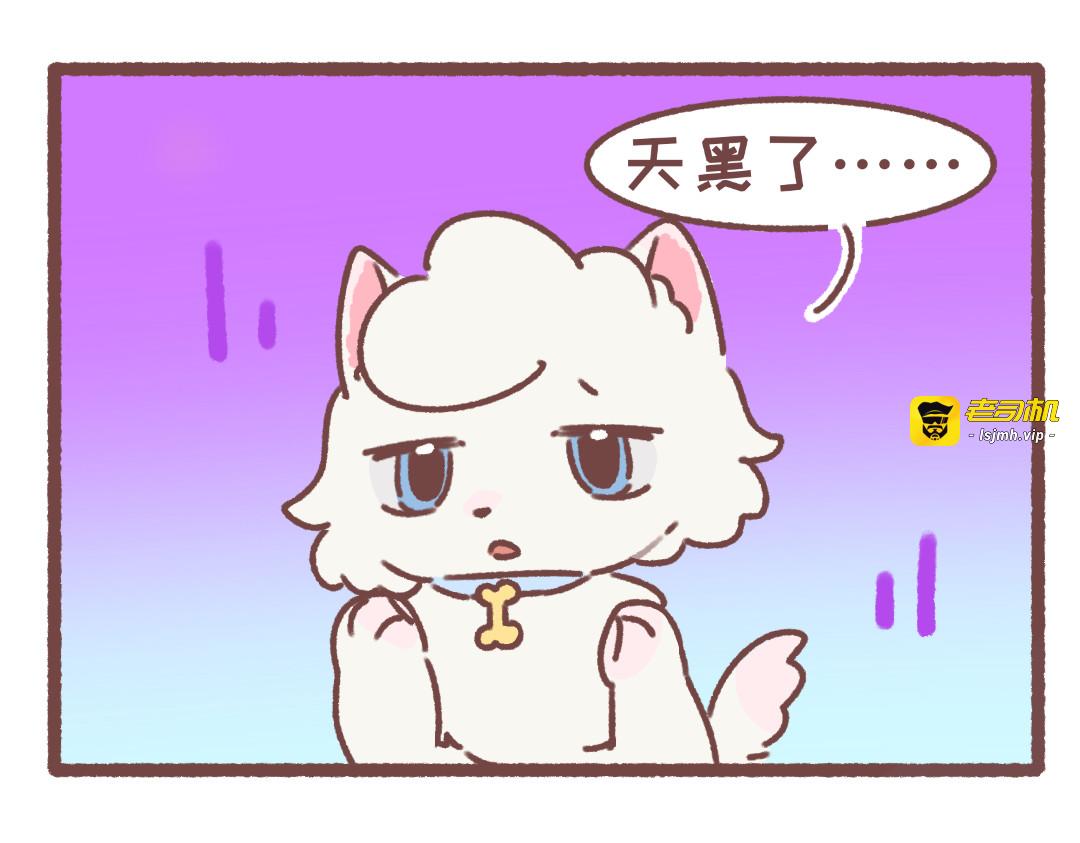 迷路 第 15 页