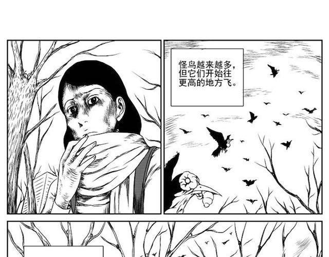 巢 第 88 页