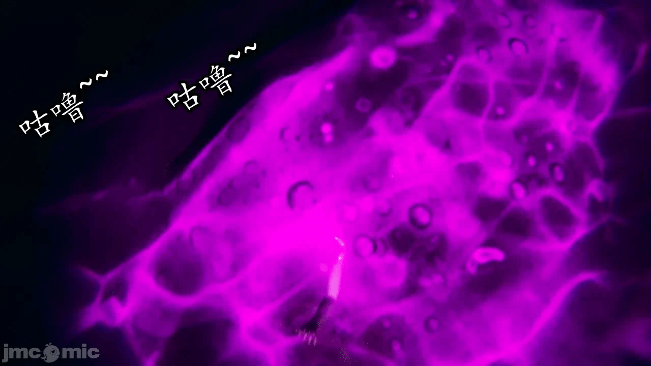 [3D]天玄神魔录01-12 第一话 - 777