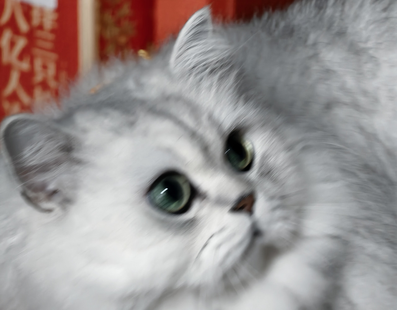 9——10话加猫猫 修猫！！！ 第 18 页