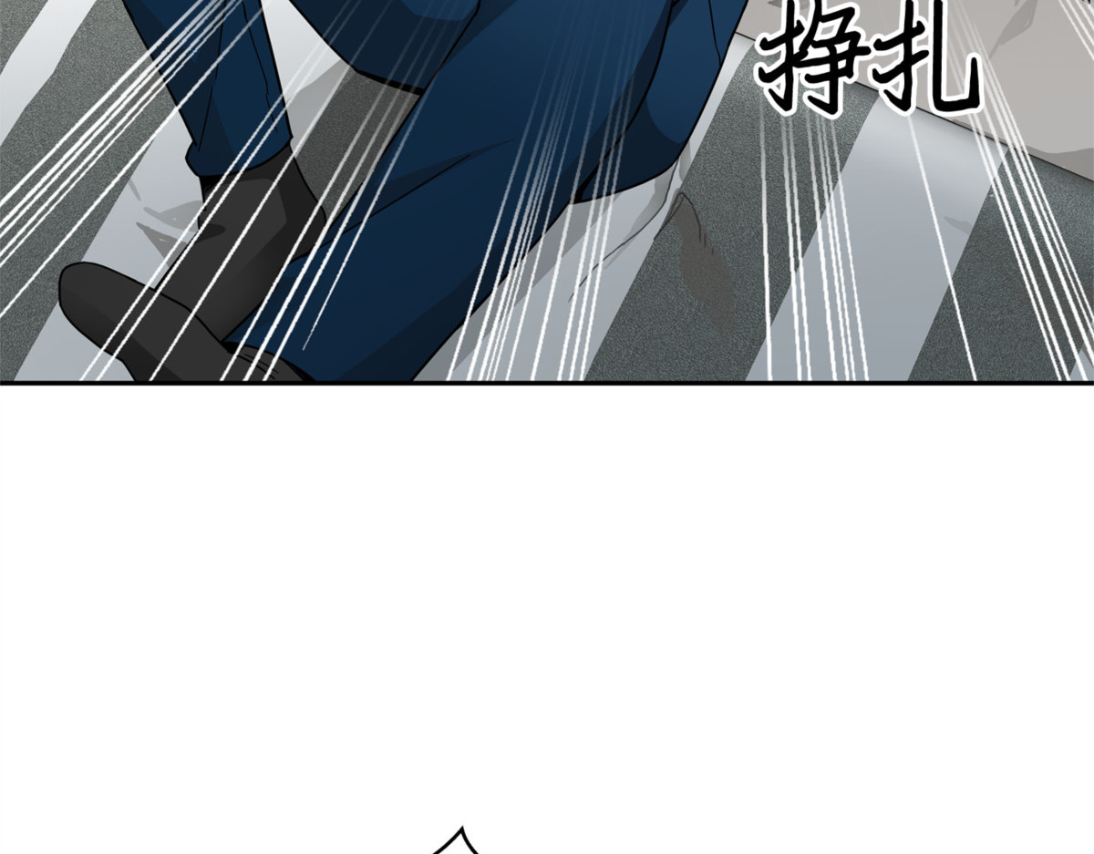 假命运王 第 124 页