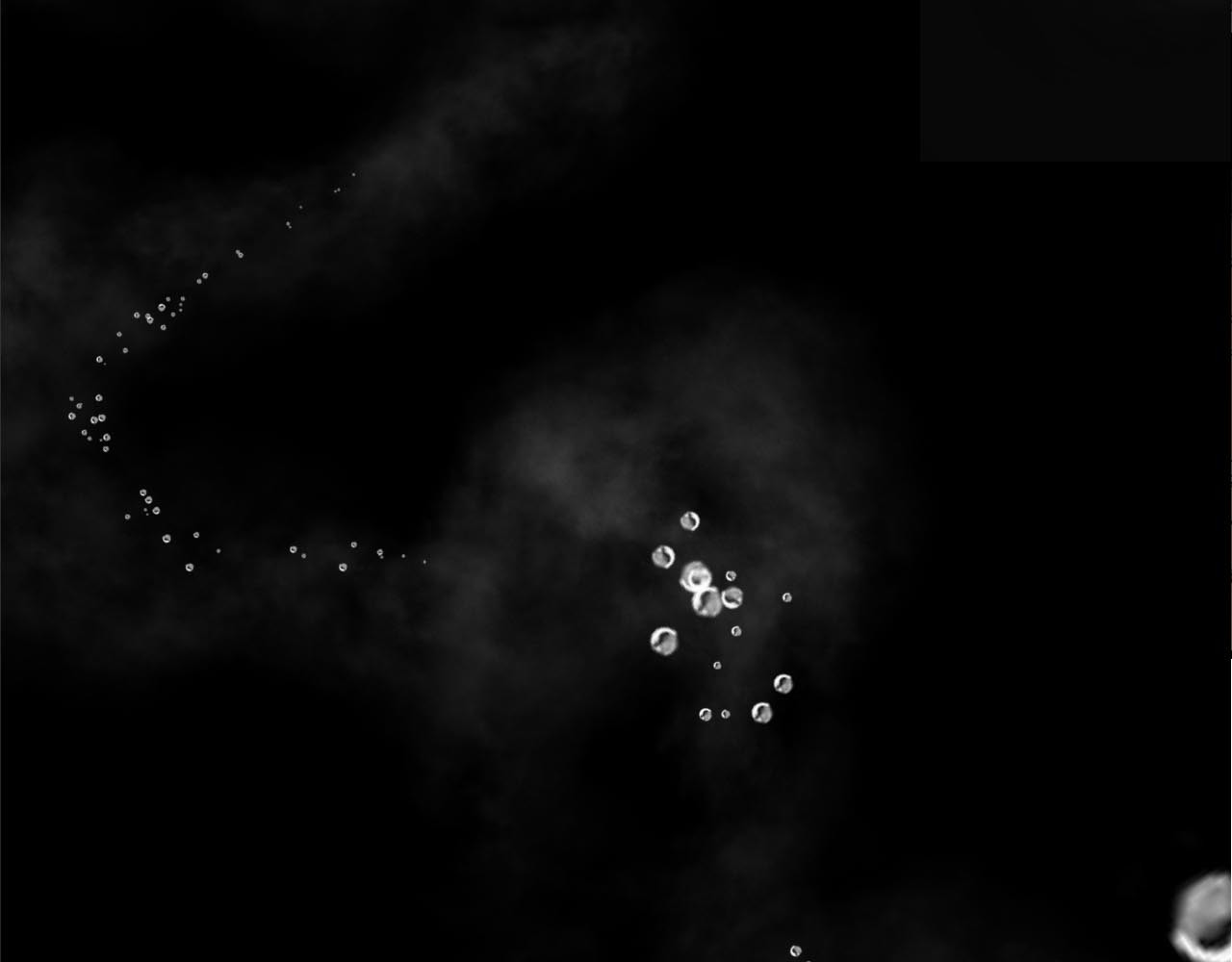 第11话 回到现实！？ 第 4 页