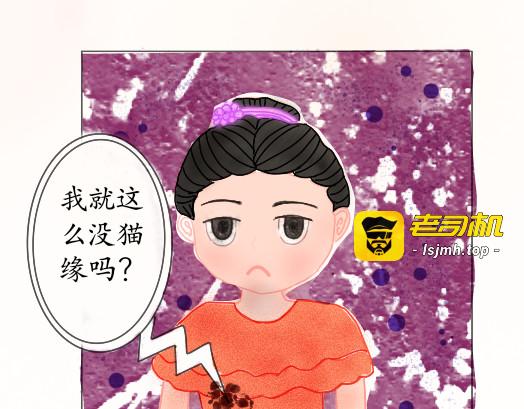 第二话  猫设崩塌 第 5 页
