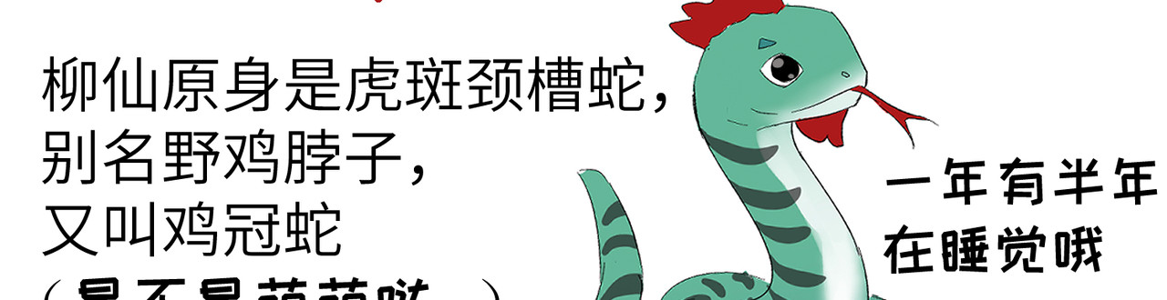 后记 第 32 页