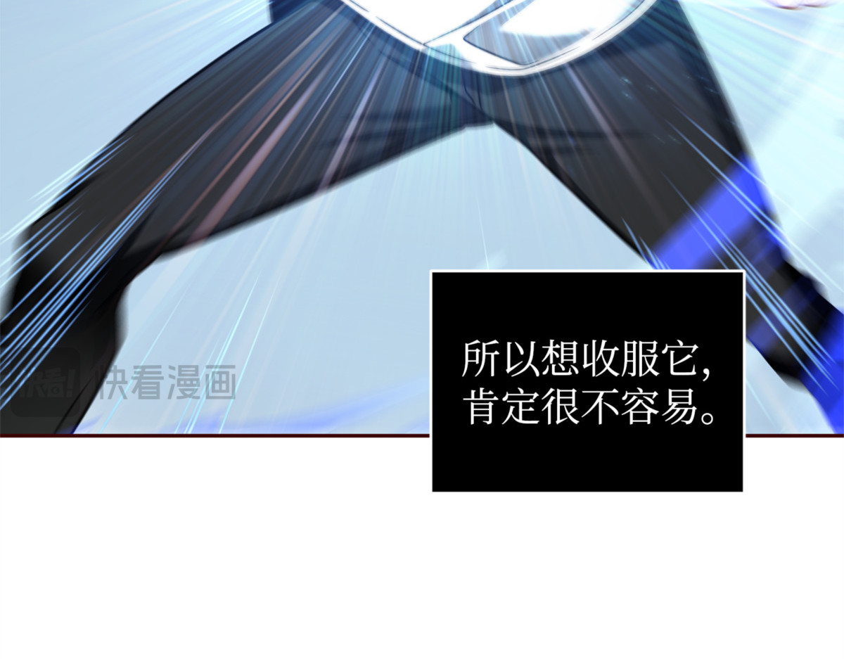 服从训练 第 30 页