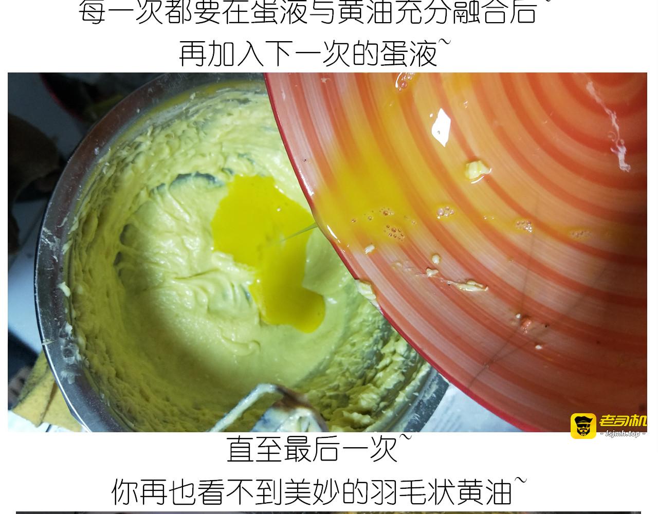 仙女的罗马盾饼干 第 15 页