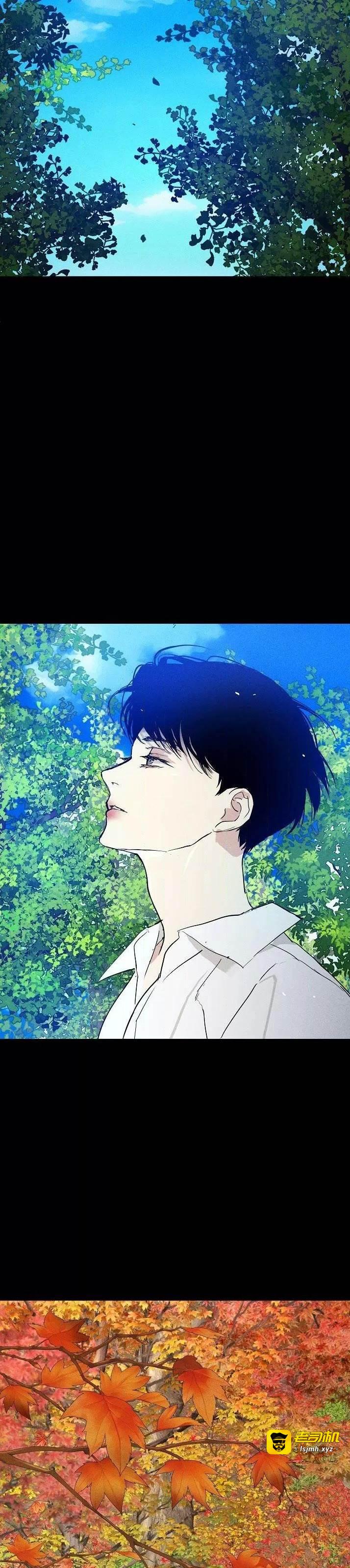第78话 完 第 31 页