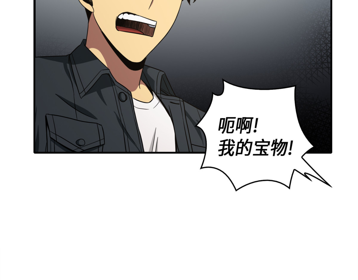 宝物被盗 第 66 页