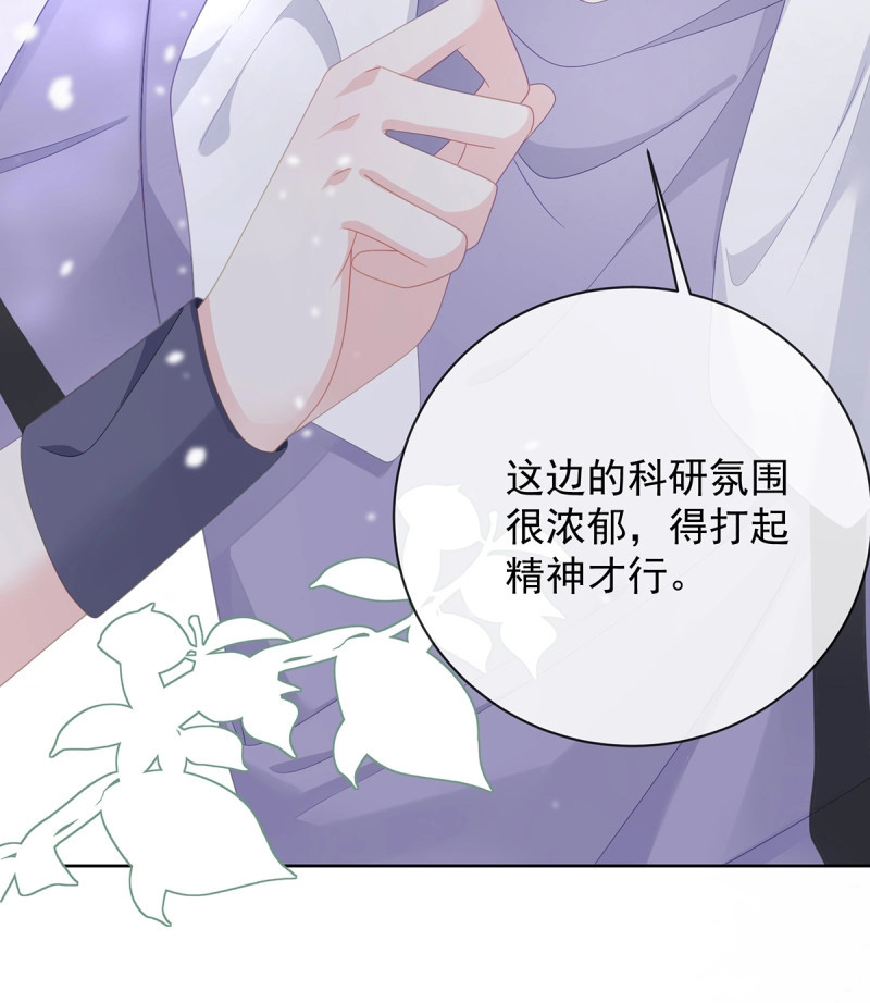 第174话 三个月很短，一生很长 第 33 页