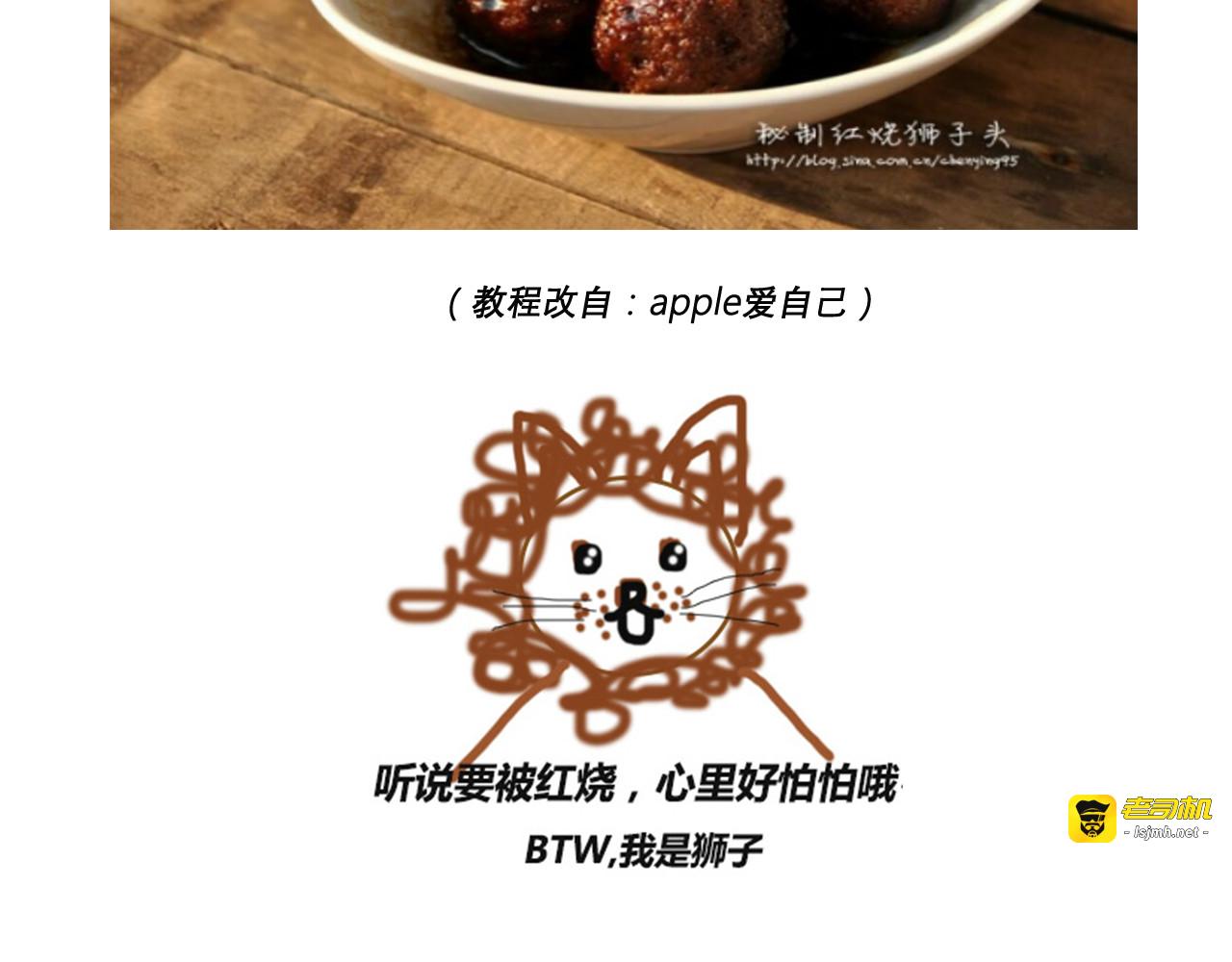 红烧狮子头 第 3 页
