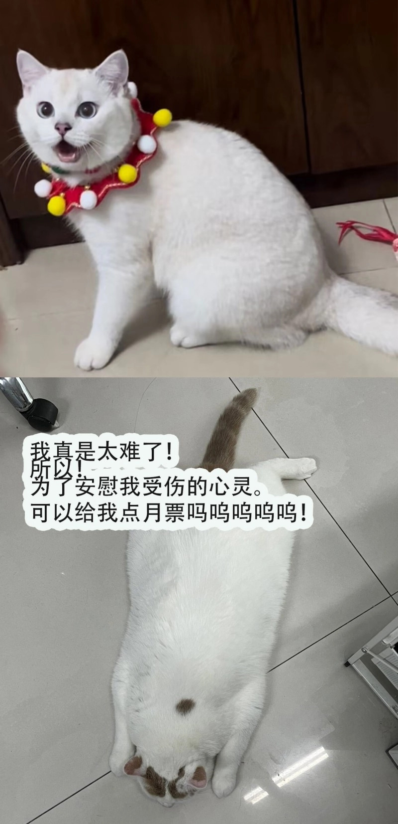 第34话 第31话修罗场 第 64 页