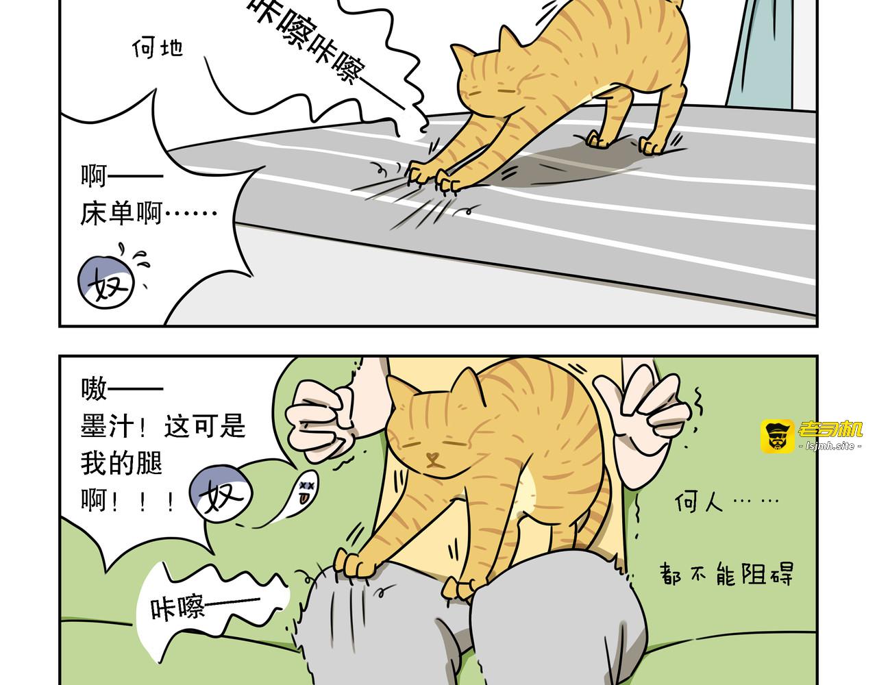 【43-44】话+番外1 第 13 页