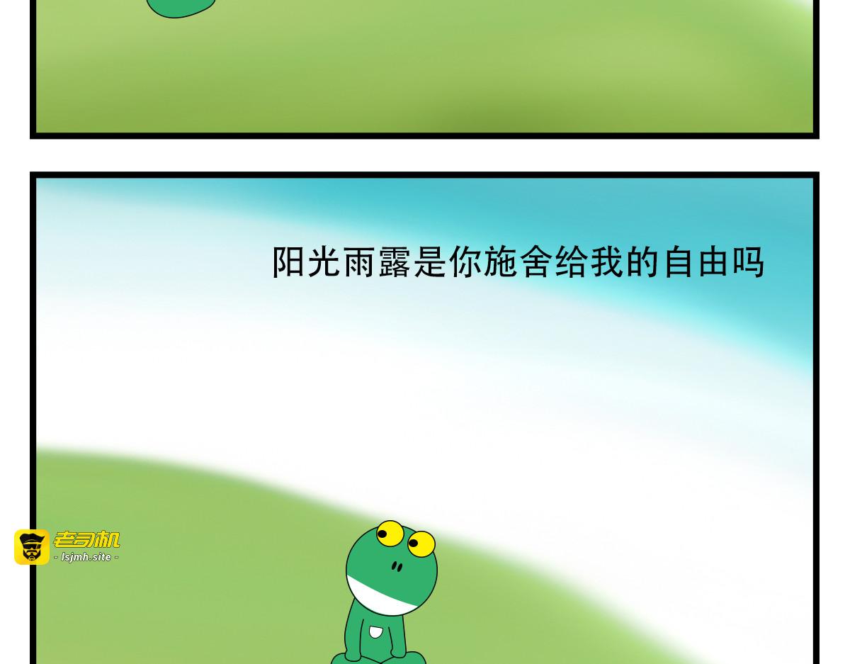 日落草长，又一次迷失了方向 第 7 页
