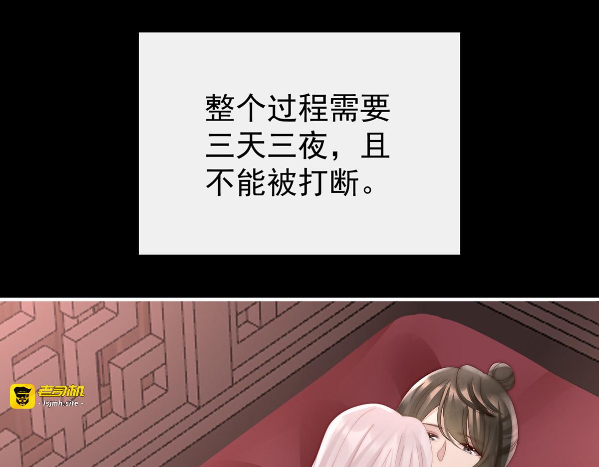 65 与你结契，永不分离 第 31 页