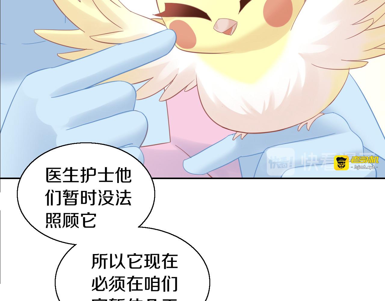 第143话 腮红鹦鹉 第 63 页