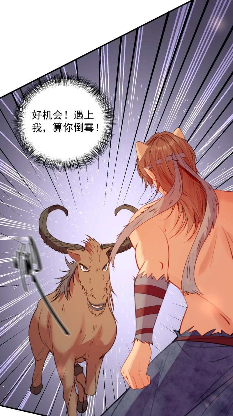 第41话 第38话雄性大决斗 第 36 页