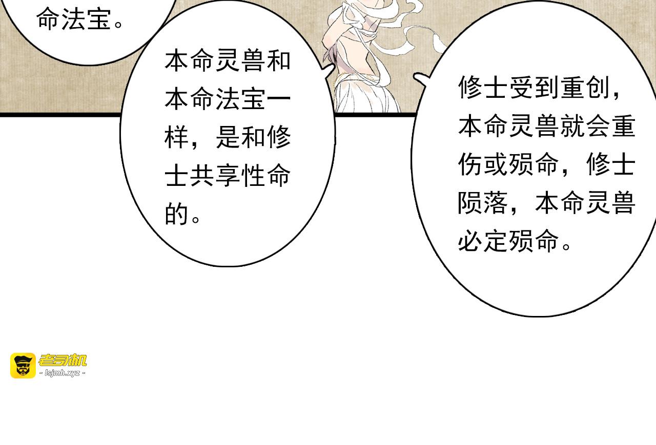 番外3 修士的本命灵兽 第 13 页