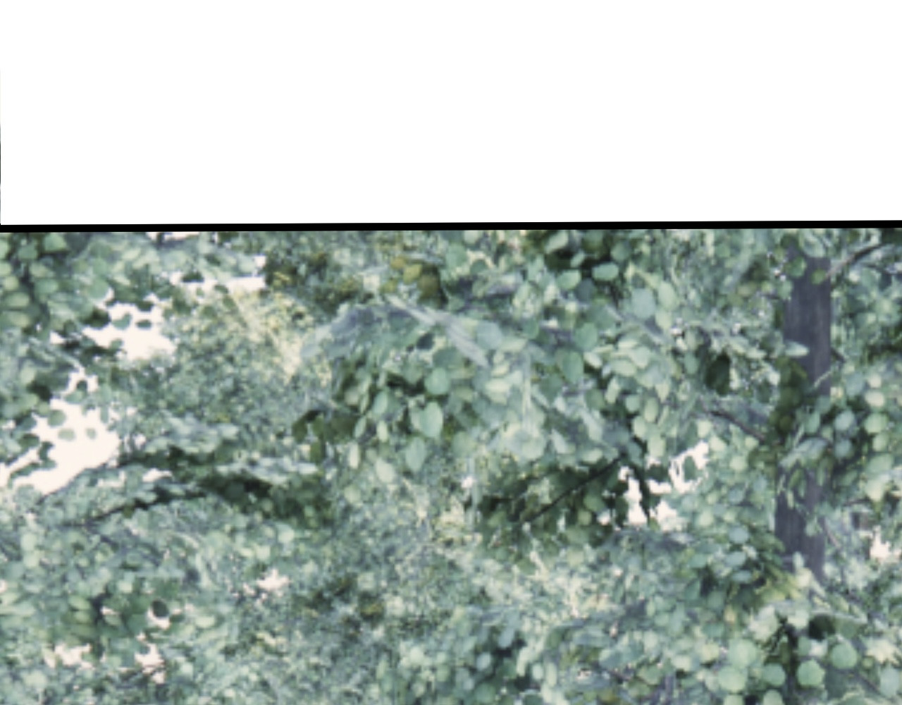 雾隐村1 第 26 页