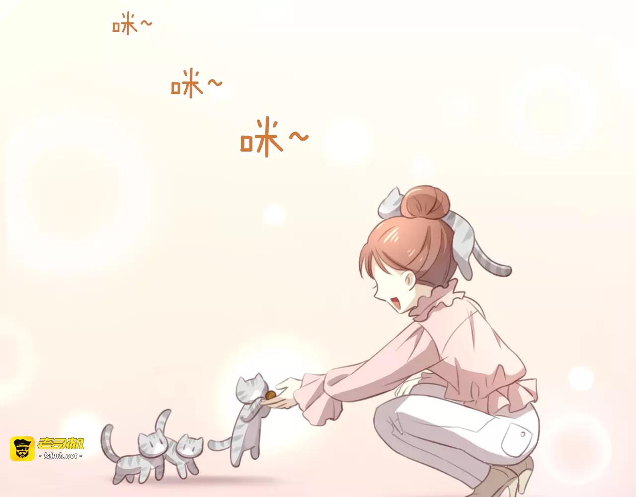第24话 猫咪专家 第 17 页