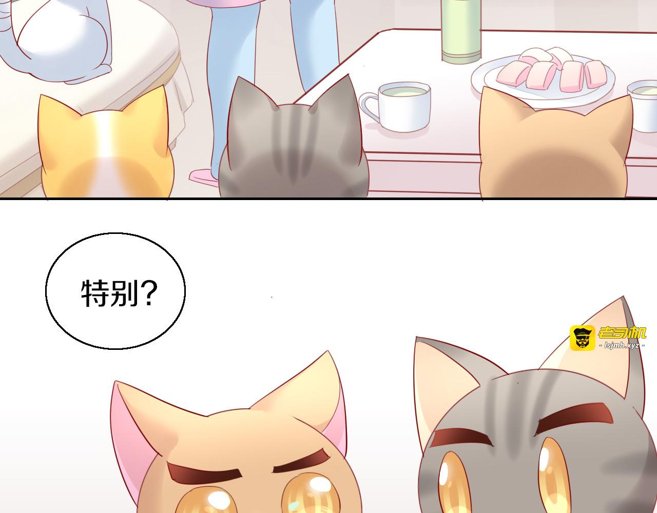 第143话 腮红鹦鹉 第 69 页