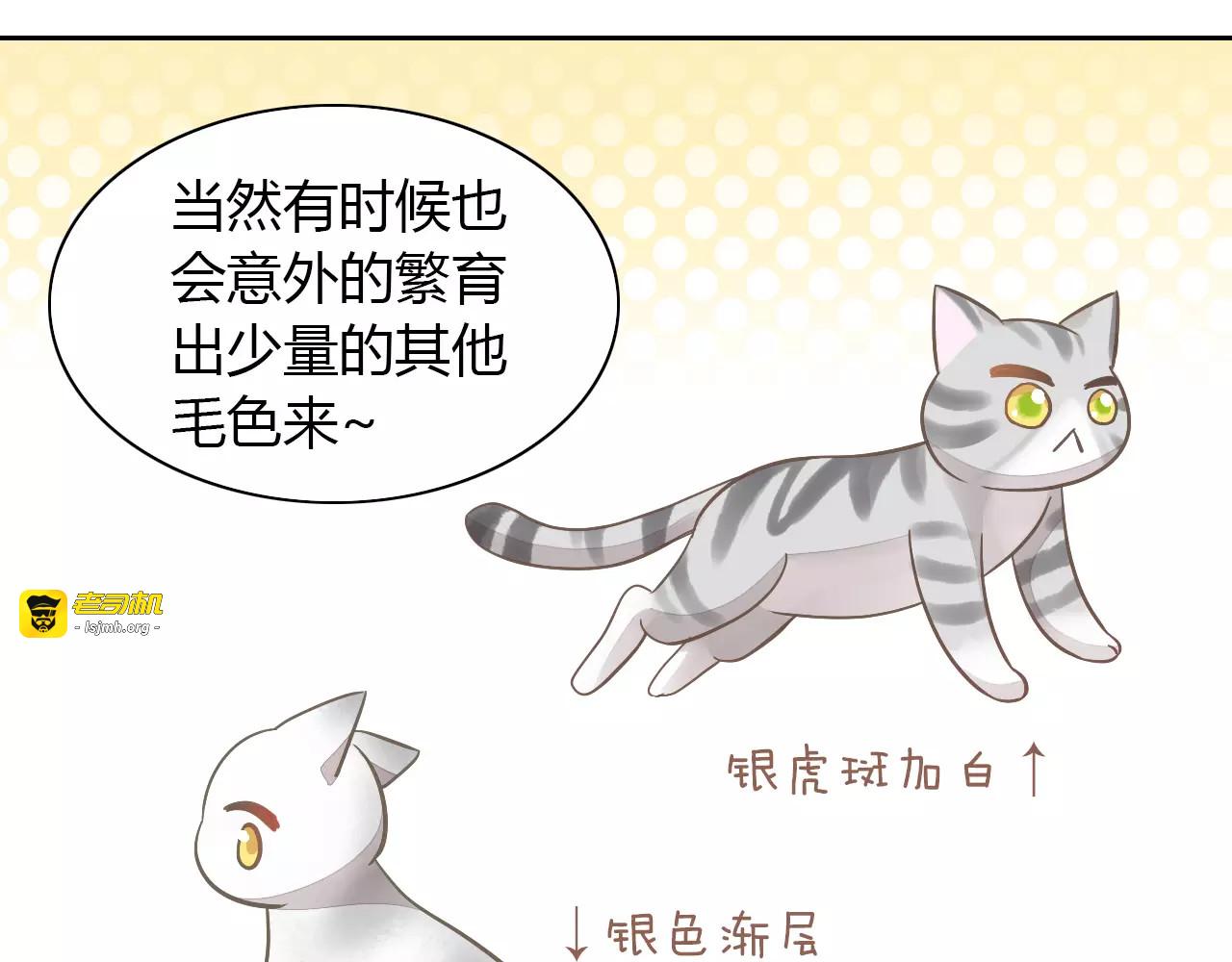 第27话 总攻现身 第 23 页