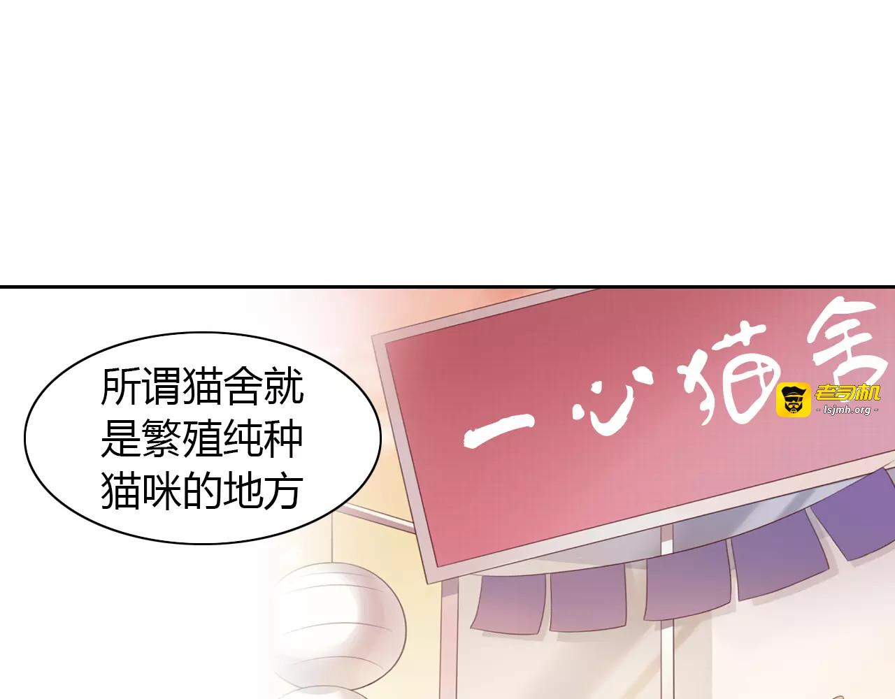 第27话 总攻现身 第 19 页