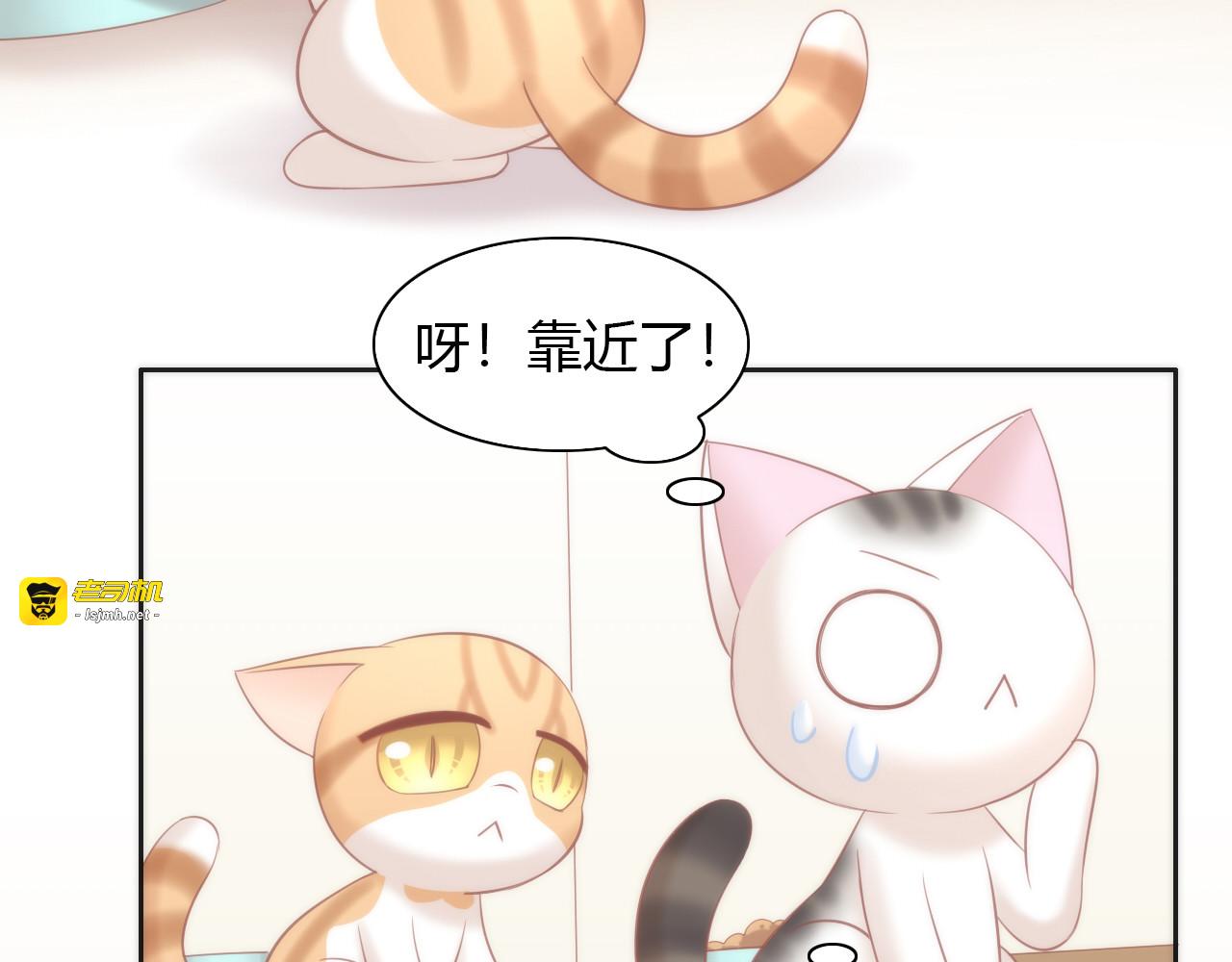 第87话  你不是王子！ 第 35 页