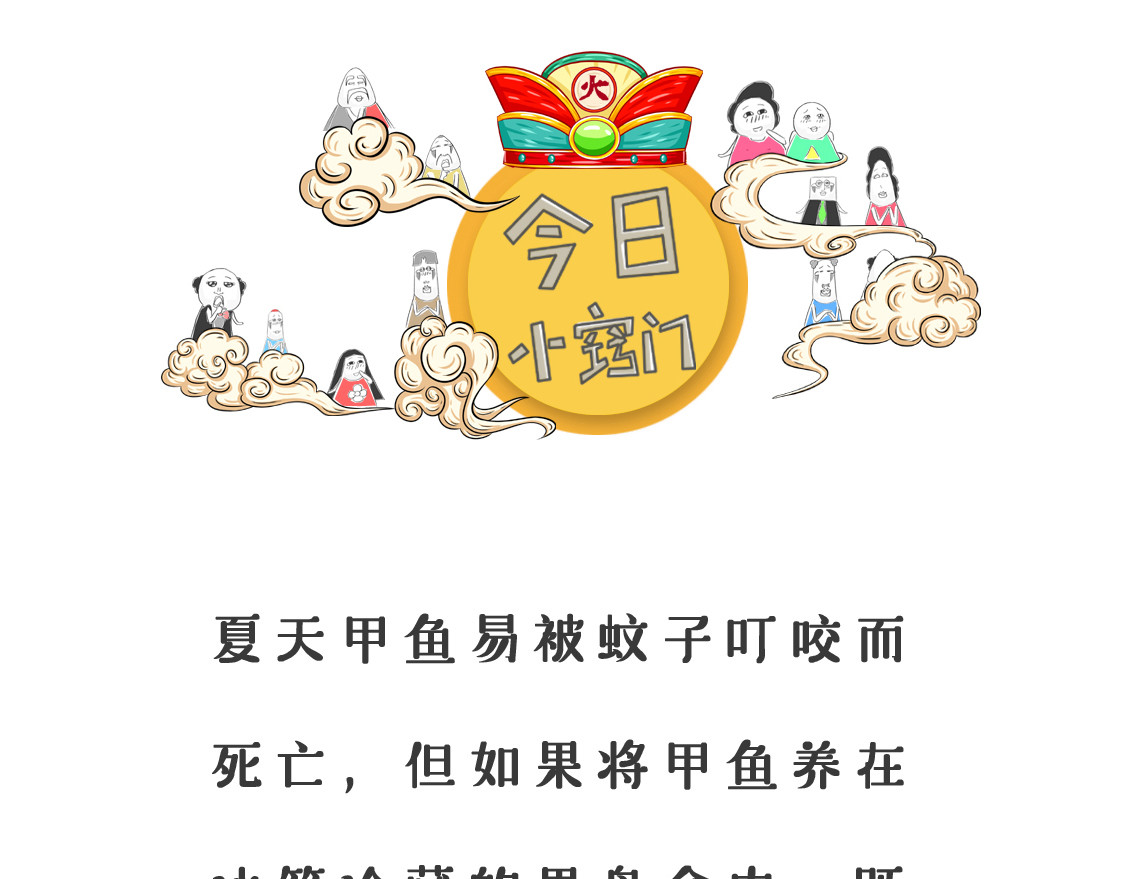 形象的比喻 第 12 页