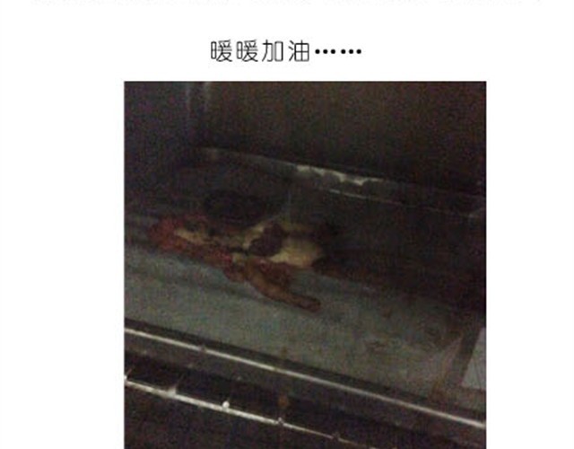 烤饼干 第 18 页