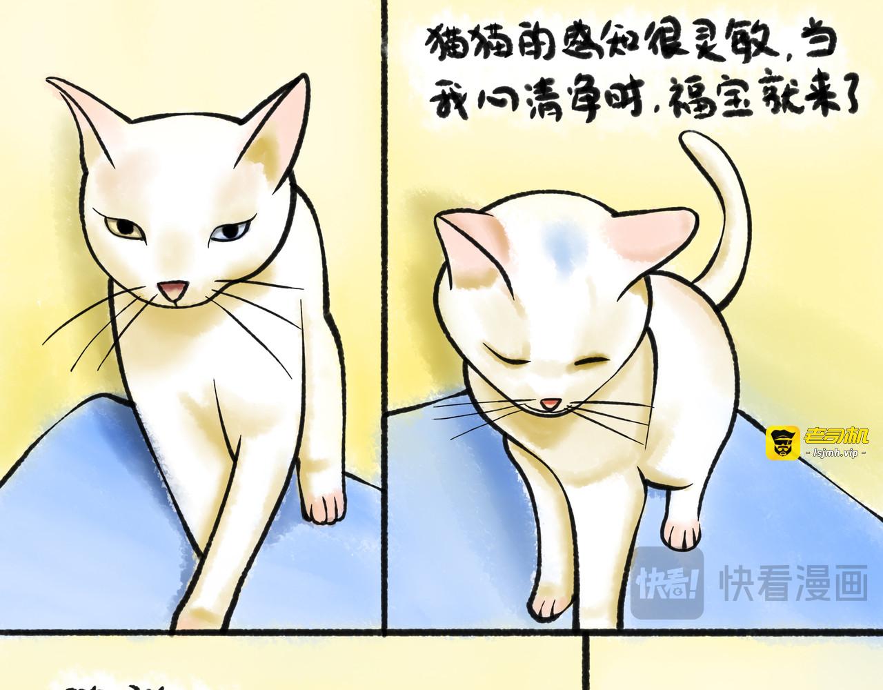 洞悉一切事物的空性，感知生命中的美好 第 13 页