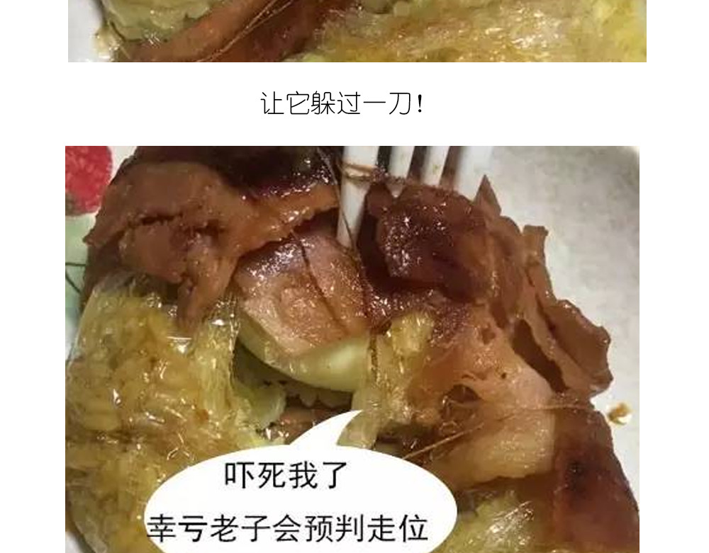 温泉蛋 第 44 页