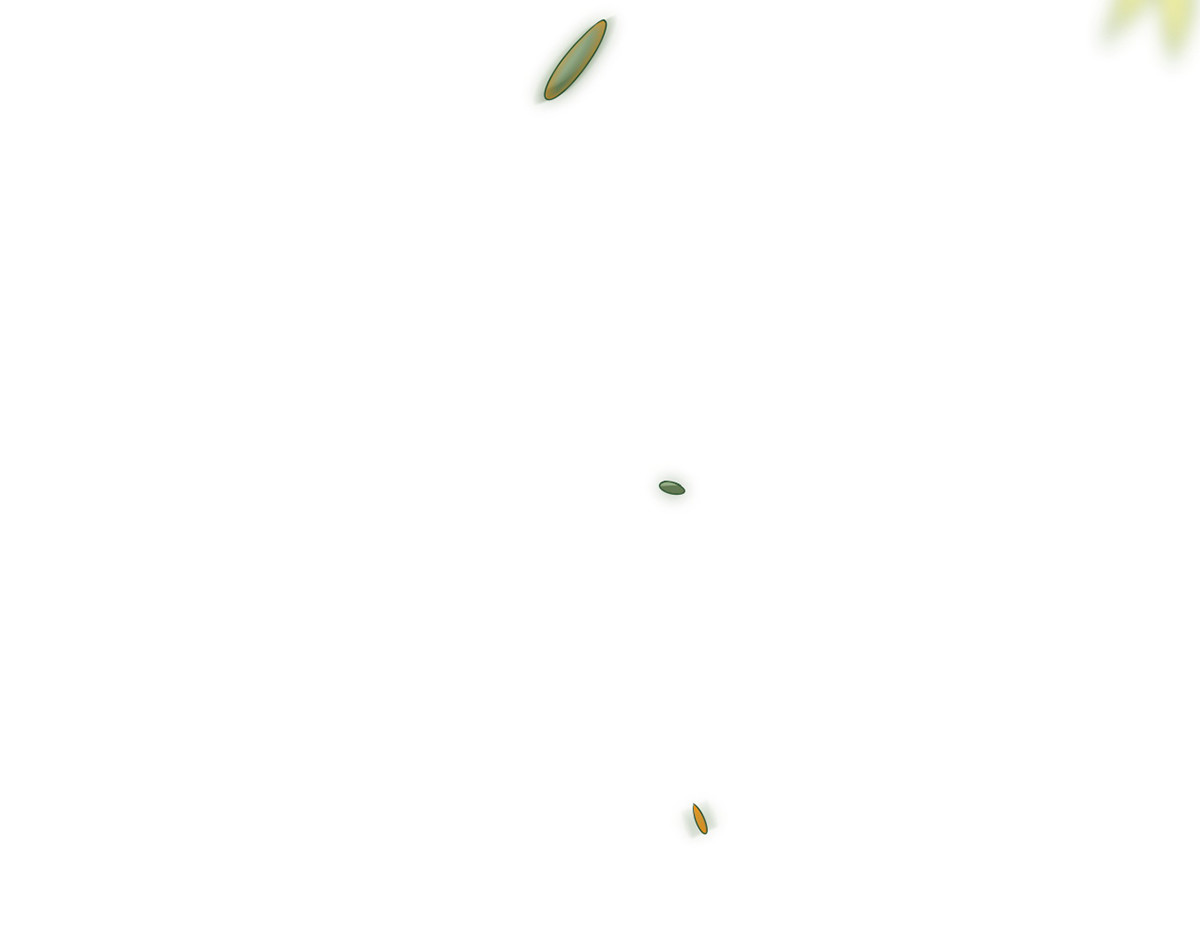 83.全盘接收 第 200 页