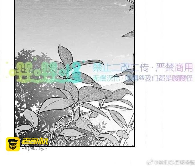 第43话 第 13 页