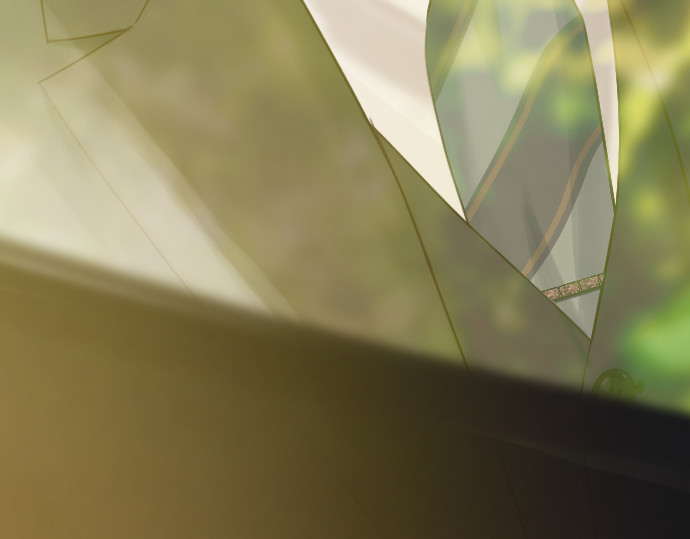 第13话 第 242 页