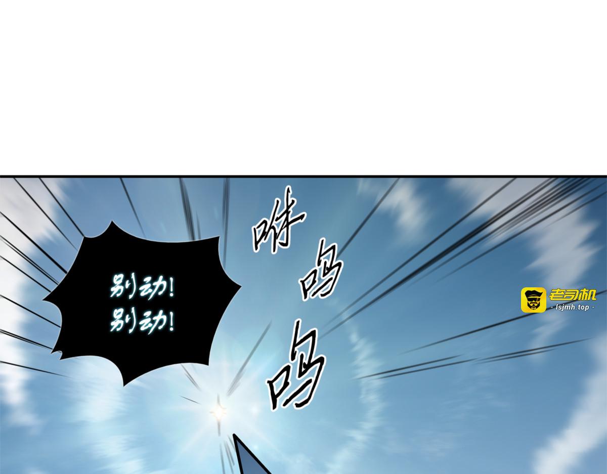 服从训练 第 11 页