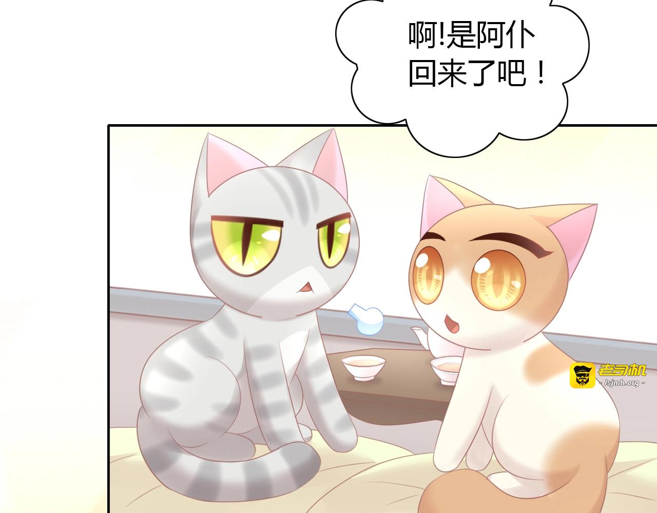 第129话 猫舍C位（五） 第 79 页